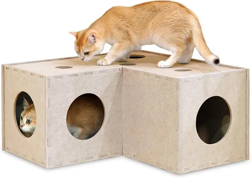 PETKARAY Túnel para gatos, cueva original para gatos de interior, tubos y túneles de juego para gatitos grandes, juguete de fieltro suave con Beige