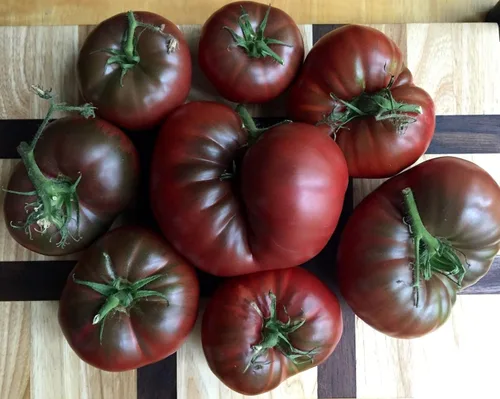 Miniatura 4 de Semillas Black Russian Tomate Indeterminado No GMO Heirloom