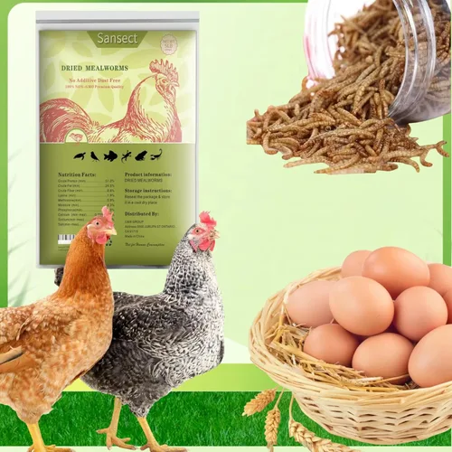 Miniatura 3 de SANSECT Gusanos de harina secos de 5 libras, gusanos de harina secos 100% naturales sin OMG para pollos, alimento para pollos con alto contenido