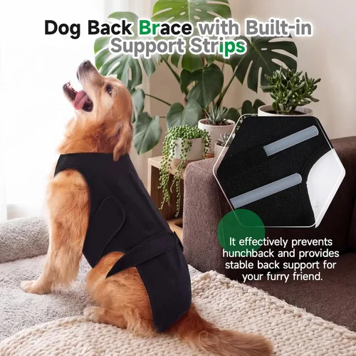 Miniatura 6 de Soporte de espalda para perros con artritis, soporte de espalda de movilidad IVDD para mascotas, fuerte apoyo de estabilidad de la columna vertebral