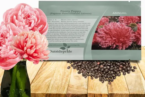 Miniatura 12 de Outsidepride Semillas de amapola de doble mezcla de peonía para plantar, 10,000 piezas anuales, tolerantes a la sequía y fáciles de cultivar