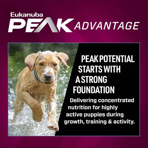 Miniatura 5 de Eukanuba Premium Performance Puppy Pro - Alimento seco para cachorros, bolsa de 4 libras