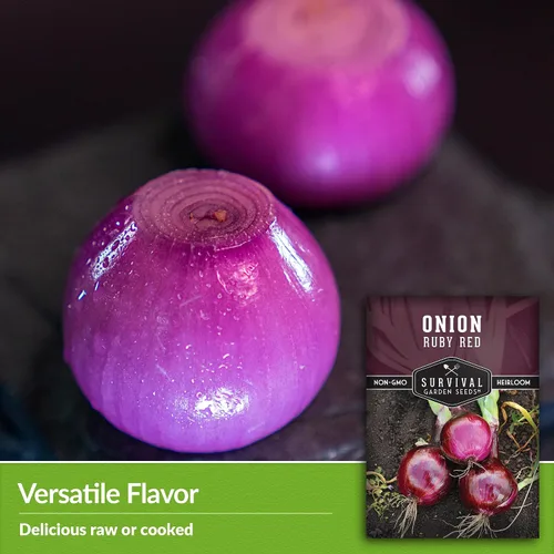 Miniatura 4 de Survival Garden Seeds Semillas de cebolla roja rubí para plantar, 1 paquete con instrucciones para cultivar cebollas en rodajas de un día largo