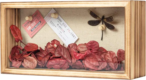 Miniatura 21 de Marco de Caja de Sombra 5x10 Caja de Exhibición de Caja de Sombra con Fondo de Lino para Premios, Objetos de Colección, Flores, Fotos, Recuerdos
