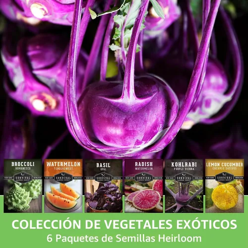 Miniatura 3 de Raras semillas exóticas de vegetales y frutas para plantar – Paquete de 6 variedades autóctonas con Romanesco, pepino limón, rábano sandía y más