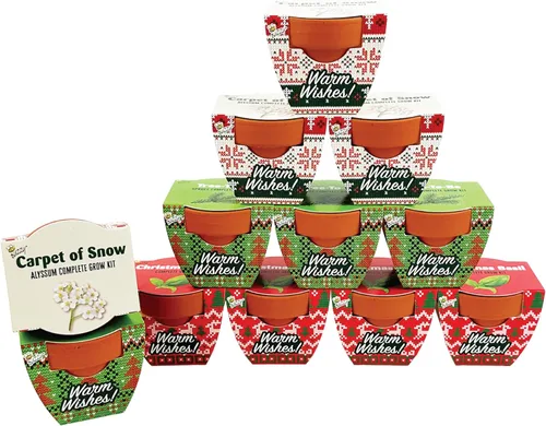 Miniatura 11 de BUZZY Seeds Daydream - Mini macetas de terracota con paquetes de semillas de margarita, juego de iniciación todo en uno con instrucciones medianas