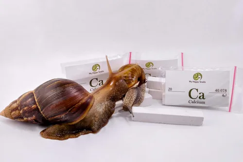 Miniatura 2 de Calcio orgánico para caracoles de mascotas (3 varillas), para todo tipo de caracoles de tierra: caracol de jardín, caracol africano gigante, helice