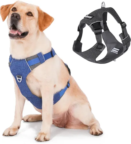 Miniatura 8 de LIOPARD Arnés para perro, arnés para mascotas fácil de caminar sin tirones, con 2 clips para correa, chaleco reflectante suave acolchado ajustable