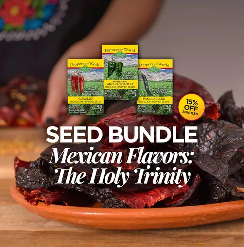 Miniatura 5 de Sabores Mexicanos/Santísima Trinidad Paquete de 3 - Semillas de Guajillo, Pasilla y Poblano