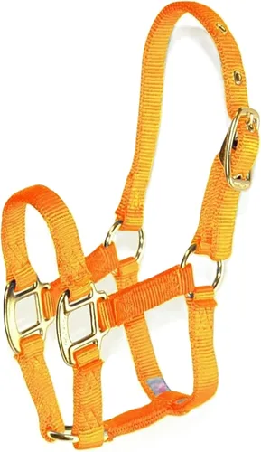 Miniatura 17 de Hamilton Caballo de lujo Halter, nailon de triple capa de 3/4 pulgadas con correa ajustable para la barbilla, potro o mini caballo, 100-200 libras