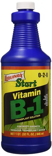 1 0-2-0 Vitamina B1 Inicio, 1 cuarto de galón