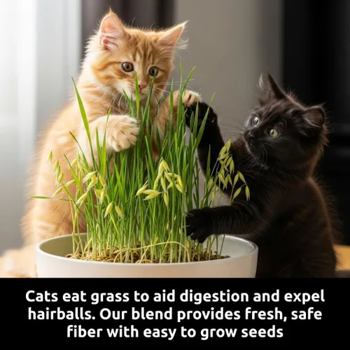 Miniatura 4 de Semillas de hierba de gato para cultivar Mezcla de 4 vías, centeno, trigo, avena y cebada Fabricado en Estados Unidos, se envía desde Iowa.