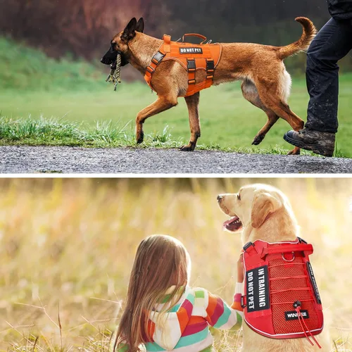 Miniatura 2 de WINSEE Parches reflectantes para perros de servicio para arnés de perro de servicio