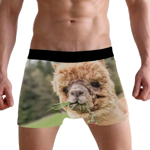 Miniatura 3 de ZZKKO Skull Llama - Calzoncillos tipo bóxer para hombre, transpirables, elásticos, con bolsa, tallas S-XXL