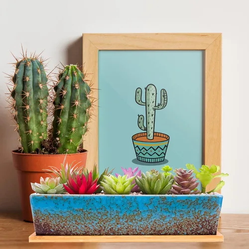 Miniatura 5 de ARTKETTY Macetas de suculentas - Macetas grandes para suculentas con drenaje, maceta de bonsái rectangular larga de 12 pulgadas con bandeja