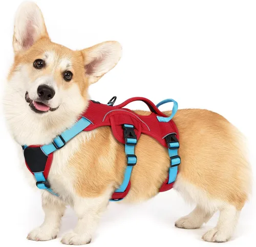 Miniatura 17 de rabbitgoo - Arnés para perro a prueba de fugas, arnés para mascotas acolchado suave de cuerpo completo, chaleco reflectante ajustable sin tirones