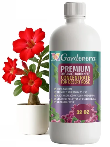 Miniatura 93 de GARDENERA Superalimento orgánico prémium de algas marinas y algas marinas para plantas AGLAONEMA, 8 onzas, concentrado de fertilizante líquido