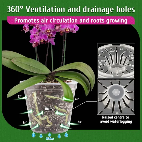 Miniatura 3 de Maceta para Orquídeas, Paquete de 6 Macetas para Orquídeas con Agujeros, Maceteros de Flores de Plástico Transparente de 5.5 Pulgadas