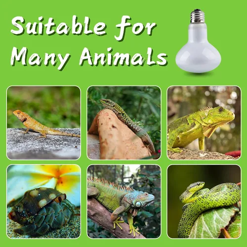 Miniatura 3 de Bombilla de calor para reptiles, 100 vatios UVA luz diurna para dragón barbudo, tortuga, lagarto, serpiente, tortuga, camaleón, anfibios, paquete