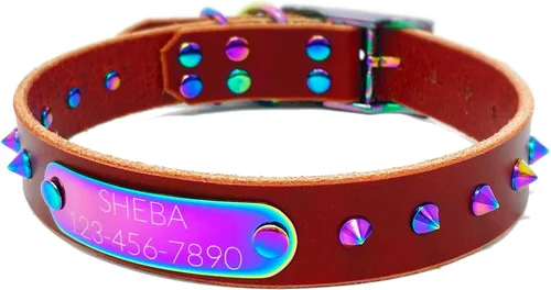 Miniatura 19 de Collar de perro de cuero con brida hecha a mano, grabado arco iris de acero inoxidable (negro)