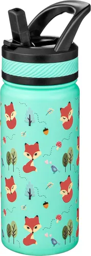 Miniatura 7 de Fanhaw Botella de Agua Aislada para Niños de 18 Oz con Tapa de Pajita – Acero Inoxidable de Doble Pared al Vacío, A Prueba de Fugas, Botellas