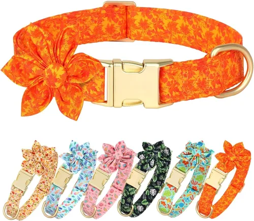 Miniatura 20 de Collares de perro femeninos Beirui con patrones florales vibrantes, collar de perro hembra con flor para caminar, collar ajustable duradero