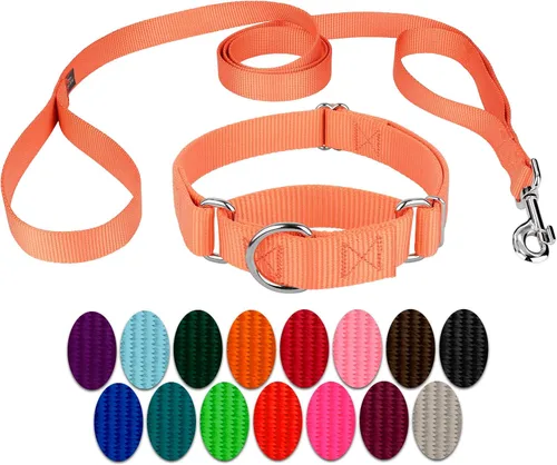 Miniatura 18 de Country Brook Petz - Collar para perro de nailon resistente Martingala azul hielo y correa de doble asa (1 pulgada, grande)