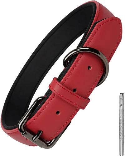 Miniatura 10 de Lmlpt Collar de cuero para perro, suave, acolchado, resistente, resistente, cómodo collar básico para mascotas con hebilla de metal ajustable a