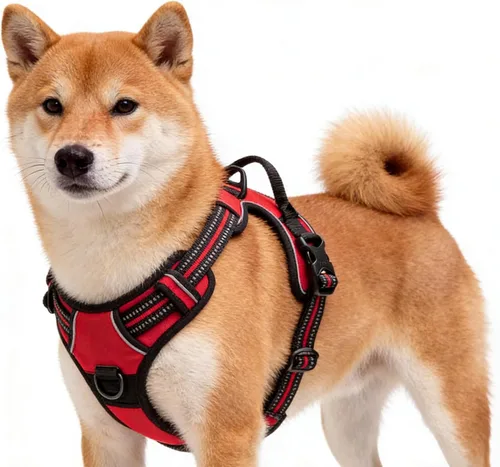 Miniatura 21 de Arnés azul para perro sin tirones con 2 clips para correa, chaleco acolchado suave para perros grandes, chaleco reflectante ajustable para perro