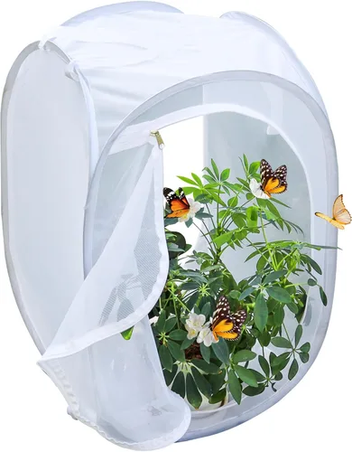 Miniatura 6 de Jaula desplegable para insectos y mariposas con terrario de malla transparente, 16 x 16 x 24 pulgadas