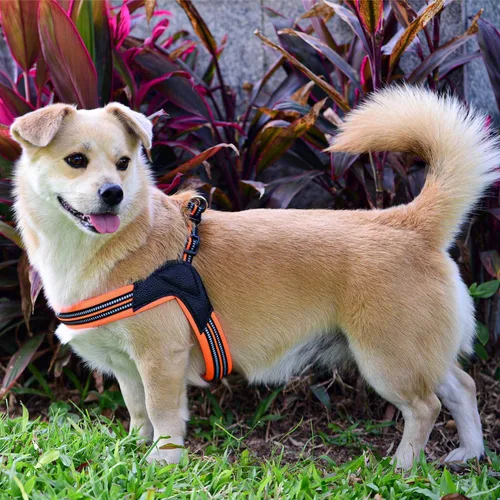 Miniatura 6 de Arnés para perro sin tirones, ultra suave, transpirable, acolchado, para mascotas, 2 botones ajustables, arnés reflectante 3M para mascotas