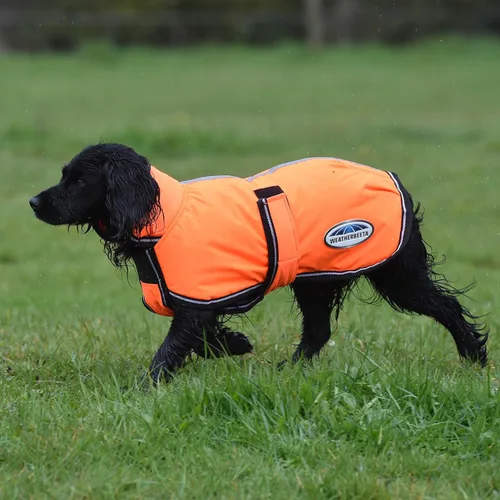 Miniatura 6 de Anorak Weatherbeeta Comfitec reflectante 300D, abrigo para perro Deluxe Lite Orange