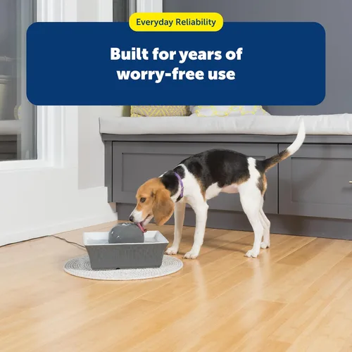 Miniatura 7 de PetSafe Drinkwell - Fuente de agua de cerámica para mascotas, dispensador automático silencioso de 70 onzas para gatos y perros con filtros, diseño