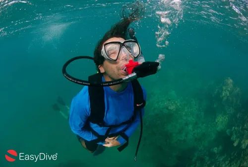 Miniatura 6 de Nuevo EasyDive Explorer: el sistema completo de buceo y snorkel