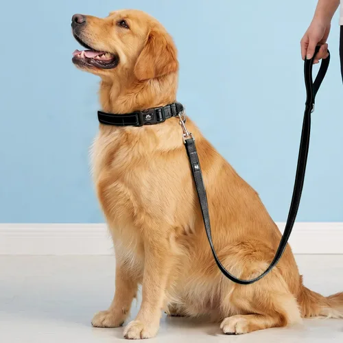 Miniatura 2 de FURRYFECTION Juego de collar y correa reflectante para perro con hebilla de liberación rápida, acolchado con collar de nailon ajustable de neopreno