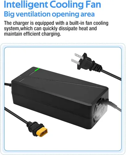 Miniatura 4 de Cargador súper rápido de 54.6V 3A / 5A para batería de litio de 48V, 7 tipos de enchufes para elegir, no necesita adaptador, más seguro. Compatible