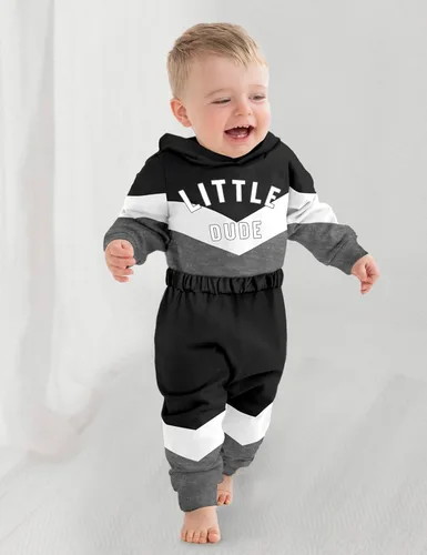 Miniatura 3 de Ropa para bebé niño, bloque de color, sudadera con capucha de gran tamaño, mameluco, pantalones largos, conjunto de trajes de otoño e invierno