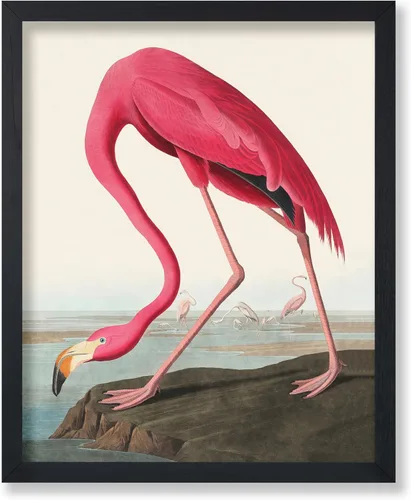 Miniatura 63 de Poster Master Vintage James Audubon Póster - Impresión Retro de Cuervo - Arte de Aves de América - Arte de Aves - Regalo para Hombres, Mujeres