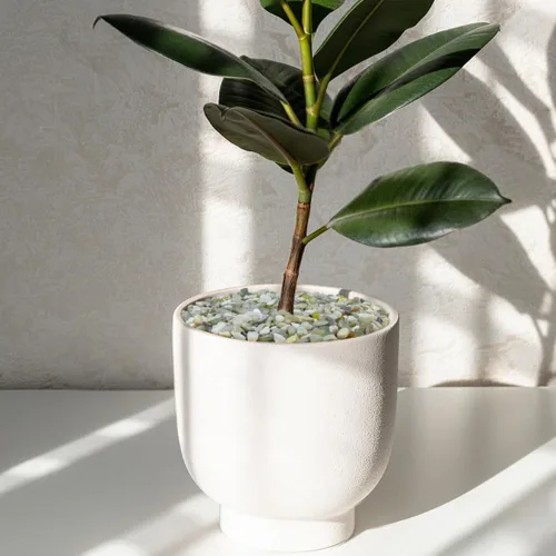 Miniatura 5 de YISZM Piedras para suculentas y cactus de 10 libras, piedras pulidas decorativas naturales de jade de 1/5 pulgadas, rocas de río para plantas