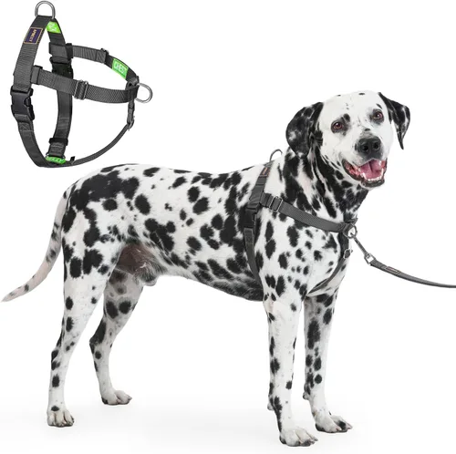 Miniatura 7 de Freedom - Arnés para perro sin tirones, fácil de caminar, deja de tirar con dos anillos en D de acero inoxidable, cómodo, etiquetas de instrucciones