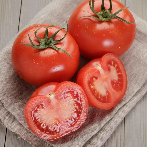 Miniatura 38 de Eden Brothers Semillas de tomate – Semillas de caqui sin OMG para plantar, paquete Semillas de vegetales de bajo mantenimiento, plantas durante