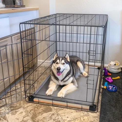 Miniatura 3 de FXW TitanNest Cama Elevada para Perros a Prueba de Masticación, Catre Elevado para Uso en Interiores/Exteriores/Camping, Cama Acolchada para Gris