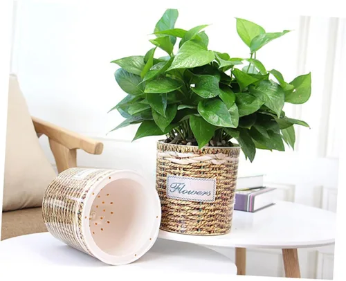Miniatura 6 de MERRYHAPY 2 latas de riego para plantas de interior, contenedor transparente, violetas africanas, maceta tejida, maceta de riego automático, macetas