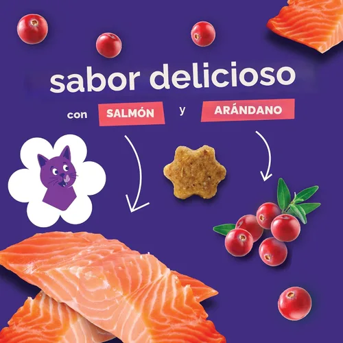 Miniatura 8 de Sorpresas crujientes de frutas para gatos Saludables sorpresas para gatos con ingredientes limitados Bajas en calorías 2.5 onzas