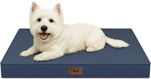Miniatura 19 de Cama ortopédica de felpa para perros y cachorros medianos, camas impermeables para perros de 30 x 20 pulgadas con funda extraíble lavable, tapete