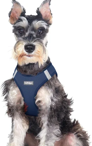 Miniatura 44 de rabbitgoo Arnés para perro pequeño, chaleco de malla suave para cachorros con hebilla de seguridad, arnés reflectante transpirable para mascotas
