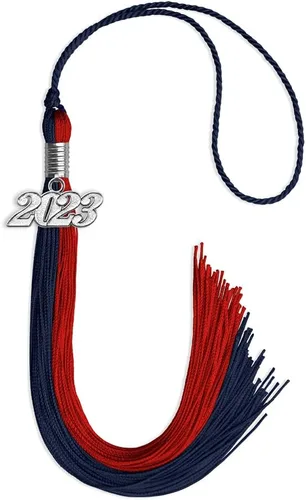 Miniatura 199 de Endea Graduation Borla de doble color con gota de fecha plateada (negro/oro antiguo, 2025)