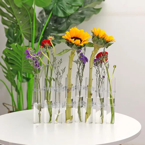 Miniatura 8 de DOITOOL Jarrón de tubo de ensayo, 8 piezas, tubo de ensayo de vidrio, terrario, florero de vidrio transparente, maceta decorativa de tubo de ensayo
