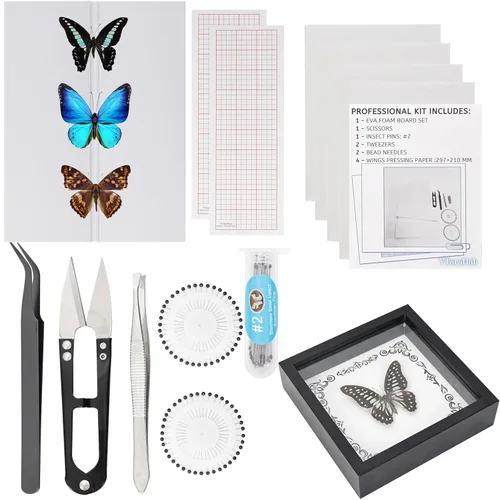 Kit de herramientas para especímenes de insectos - Tabla de fijación de espuma EVA, papel coordinado, papel para prensar alas, pines para insectos y