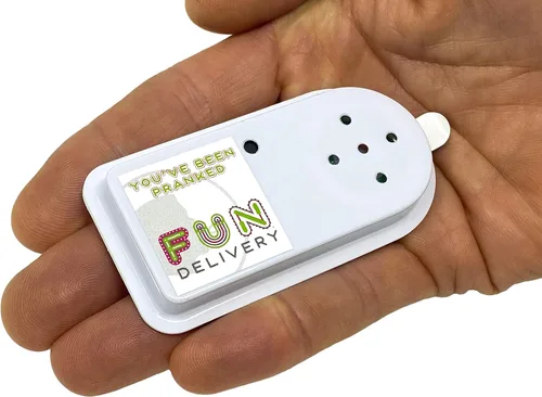 Miniatura 4 de FUN delivery Annoise Broma de broma de sonido molesto grabable oculto broma broma